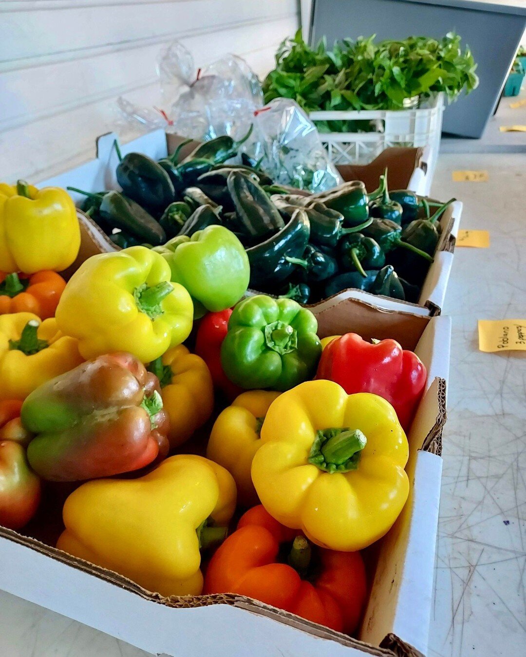 So so much thanks going out to our customers this Monday afternoon!

On Saturday, we hosted our first ever Pop-up Market -AND- we had a wonderful turnout! With a farmer's market feel, customers were able to stop on by and peruse the produce before de