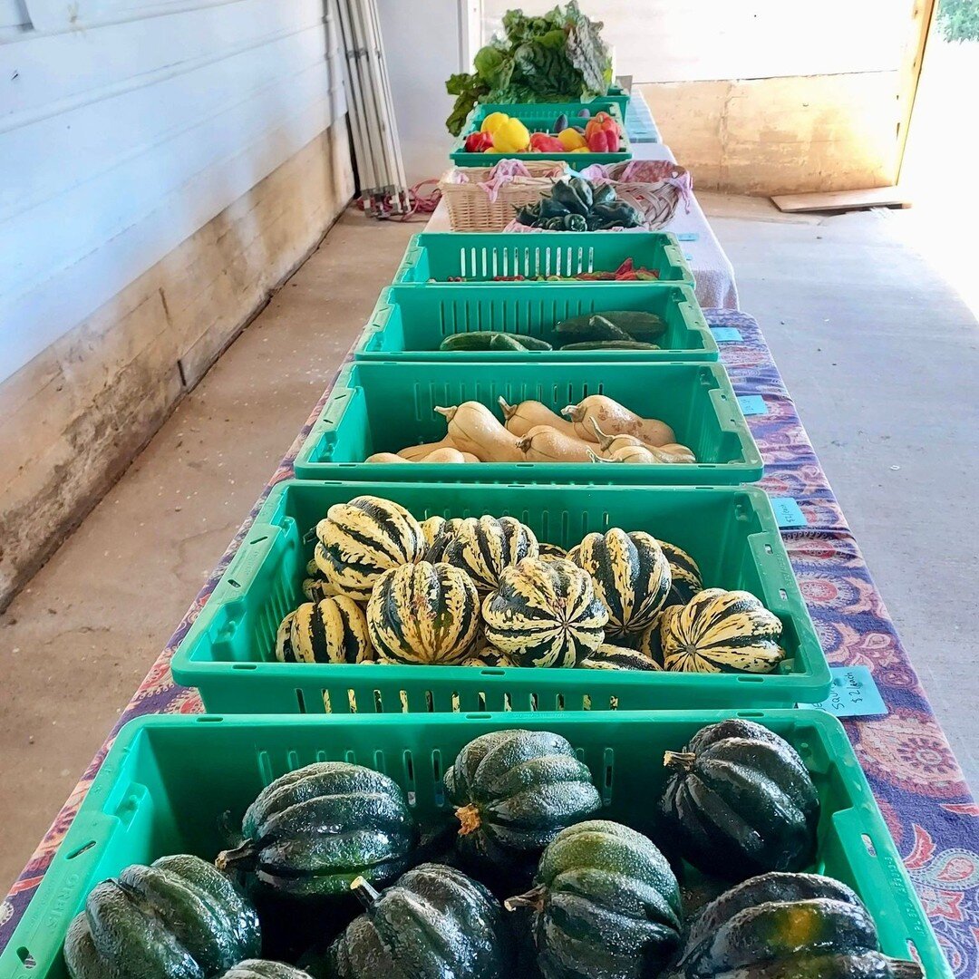 Happy Monday! Happy Pop-up Markets! 

After much support from YOU, we've decided to have ONE MORE Pop-up Market before our online market sales swing back into action. Our Fall Market Garden opening is just around the corner! 

Join us this Saturday, 